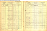 1911 Census Jacobina Colvin and William Jamieson