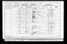1901 Census: Eliza Brown, husband William Dines